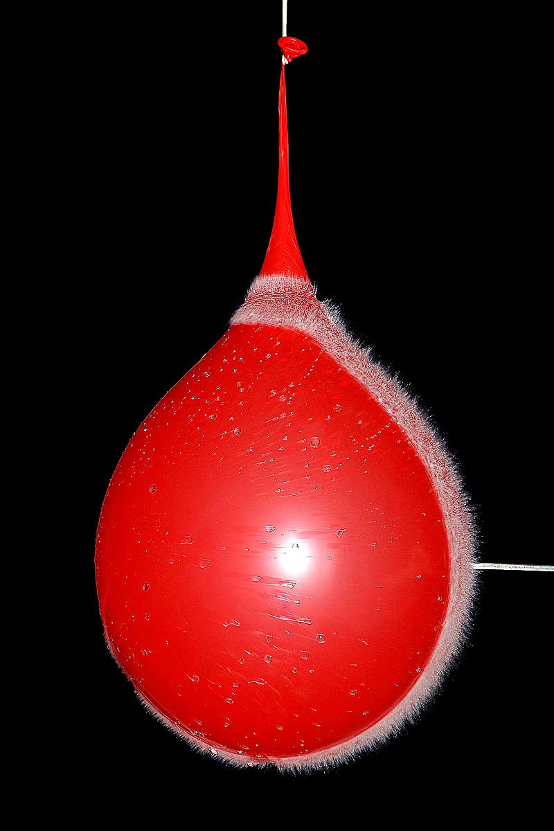 Déchirure