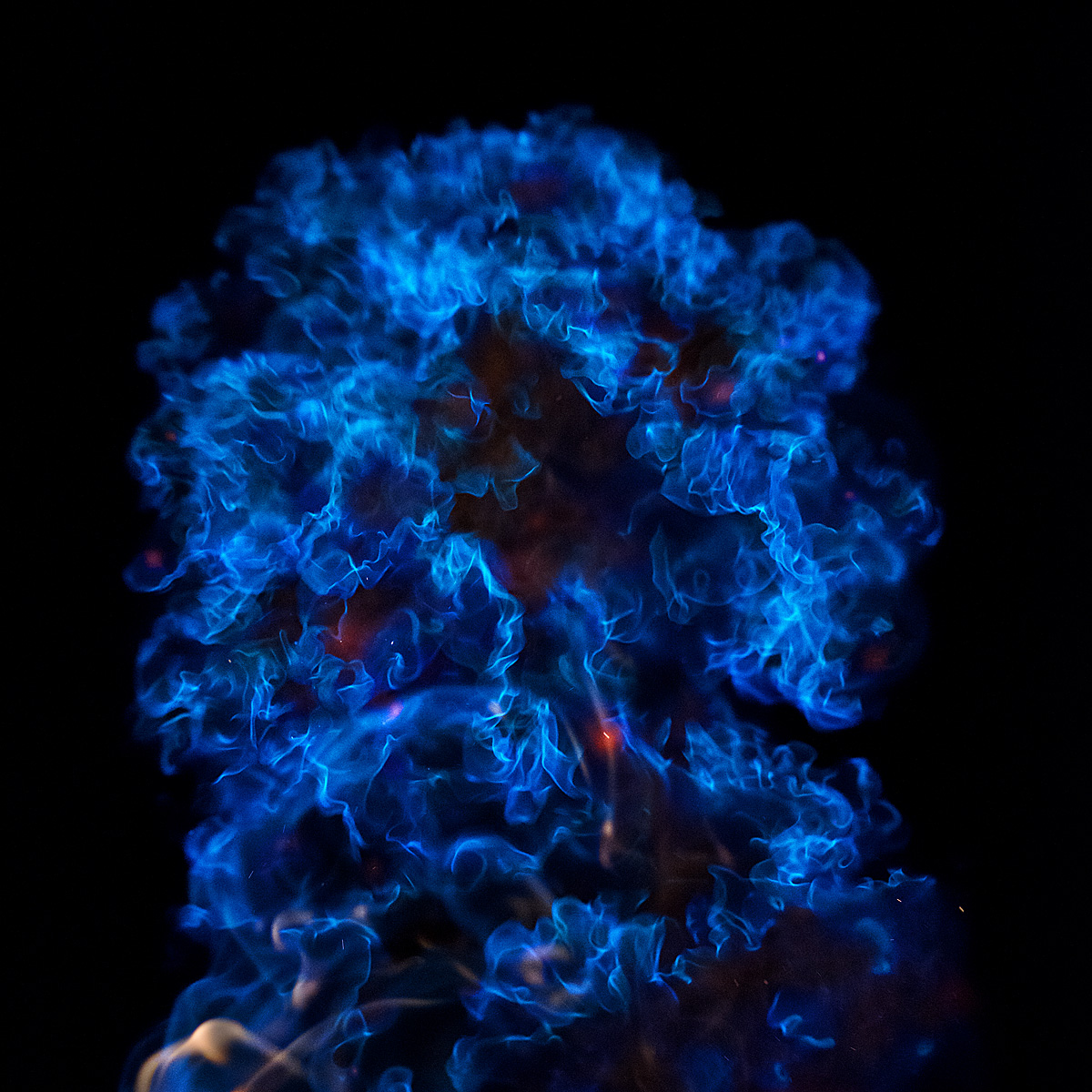 D81_4743.jpg